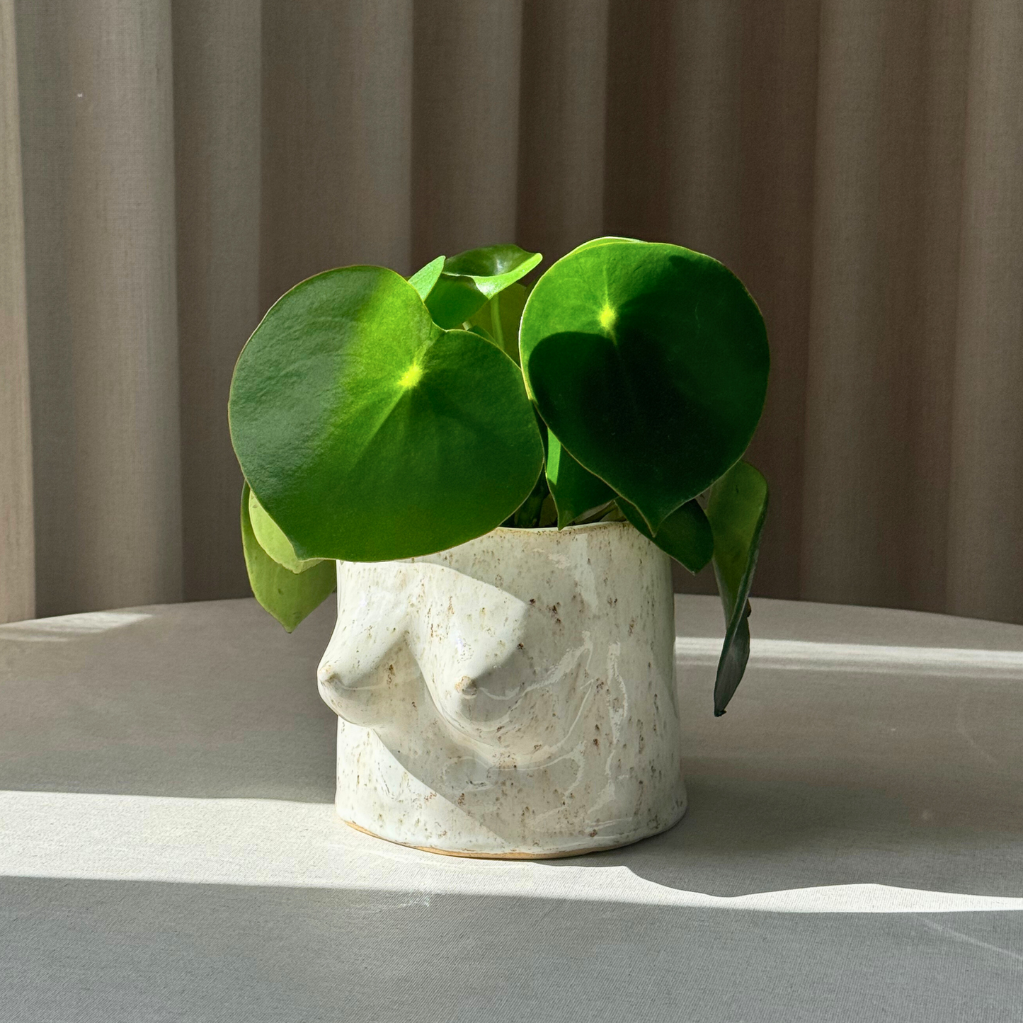 Saleta boobie pot - Saleta