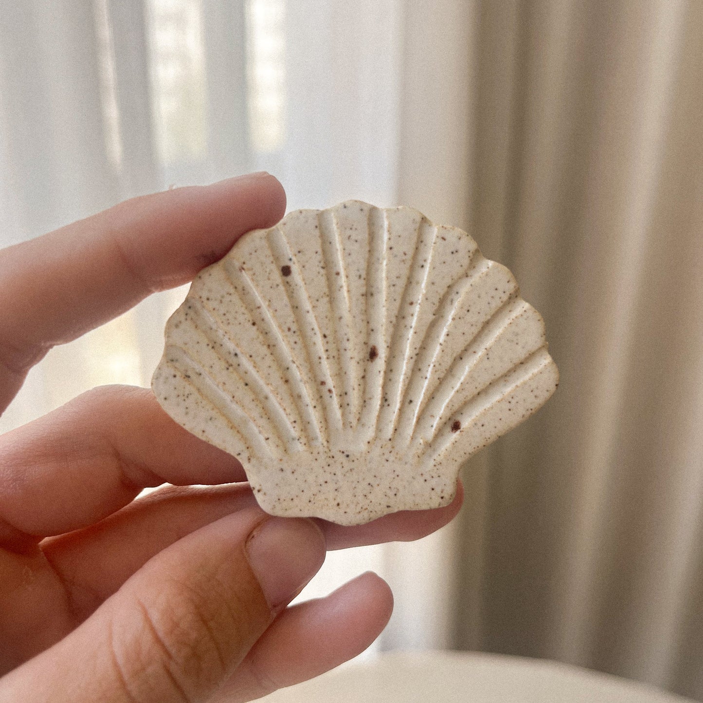 Saleta seashell magnet 🐚