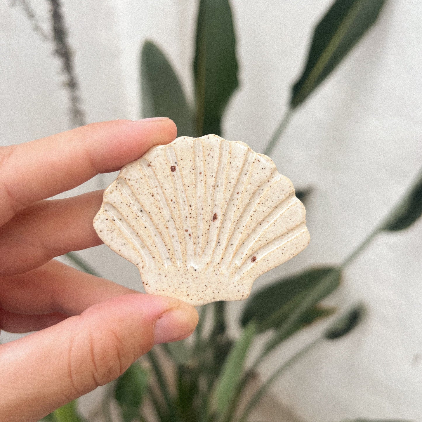 Saleta seashell magnet 🐚